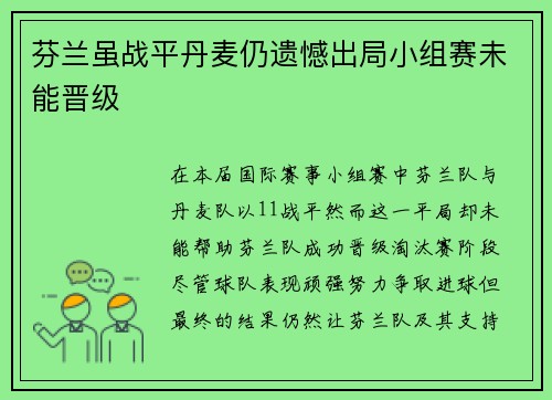 芬兰虽战平丹麦仍遗憾出局小组赛未能晋级
