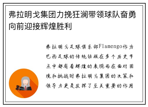 弗拉明戈集团力挽狂澜带领球队奋勇向前迎接辉煌胜利