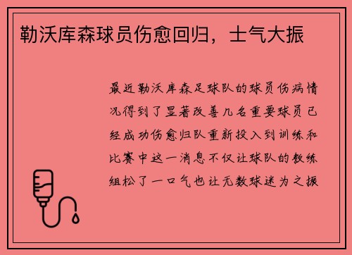 勒沃库森球员伤愈回归，士气大振