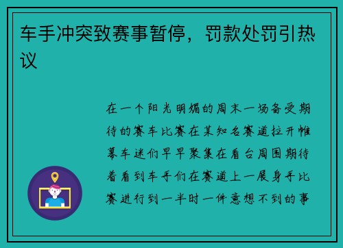 车手冲突致赛事暂停，罚款处罚引热议